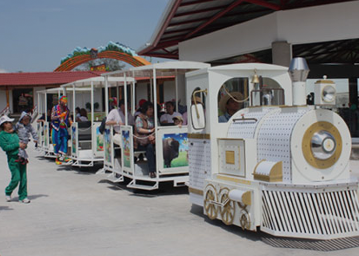 Trenecito eléctrico¿Ya disfrutaste de toda la diversión de Mundo Granjero? Recorre el parque cómodamente con nuestro Trenecito eléctrico y haz que tu única preocupación sea gozar del camino y la vista de nuestros hermosos ejemplares.