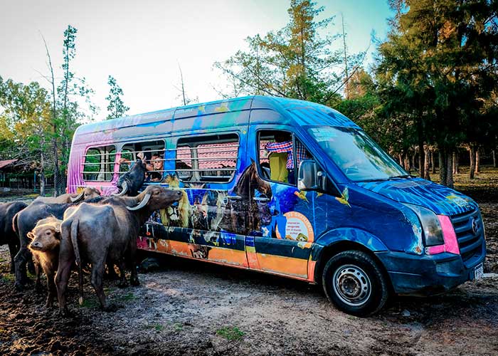 Área de Vida SilvestreDiversas especies de animales en libertad. Pasea en el Camión de Safari por solo $50 pesos o caminando sin costo y diviértete a lo grande. Un paseo lleno de aventura y aprendizaje, con personal que te dará datos interesantes de tus especies favoritas.