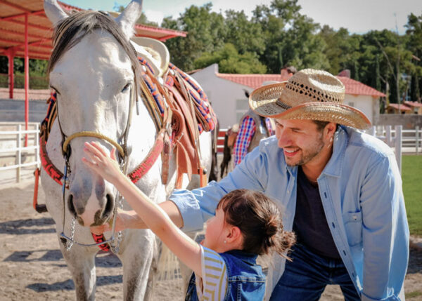 Niños acariciando caballos